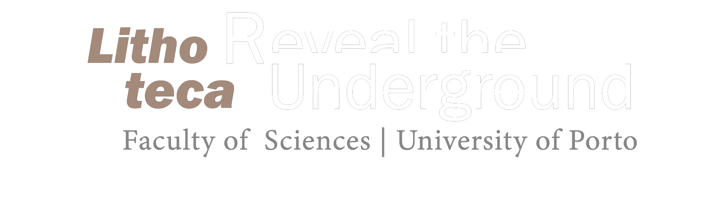 logo for the lithoteca
