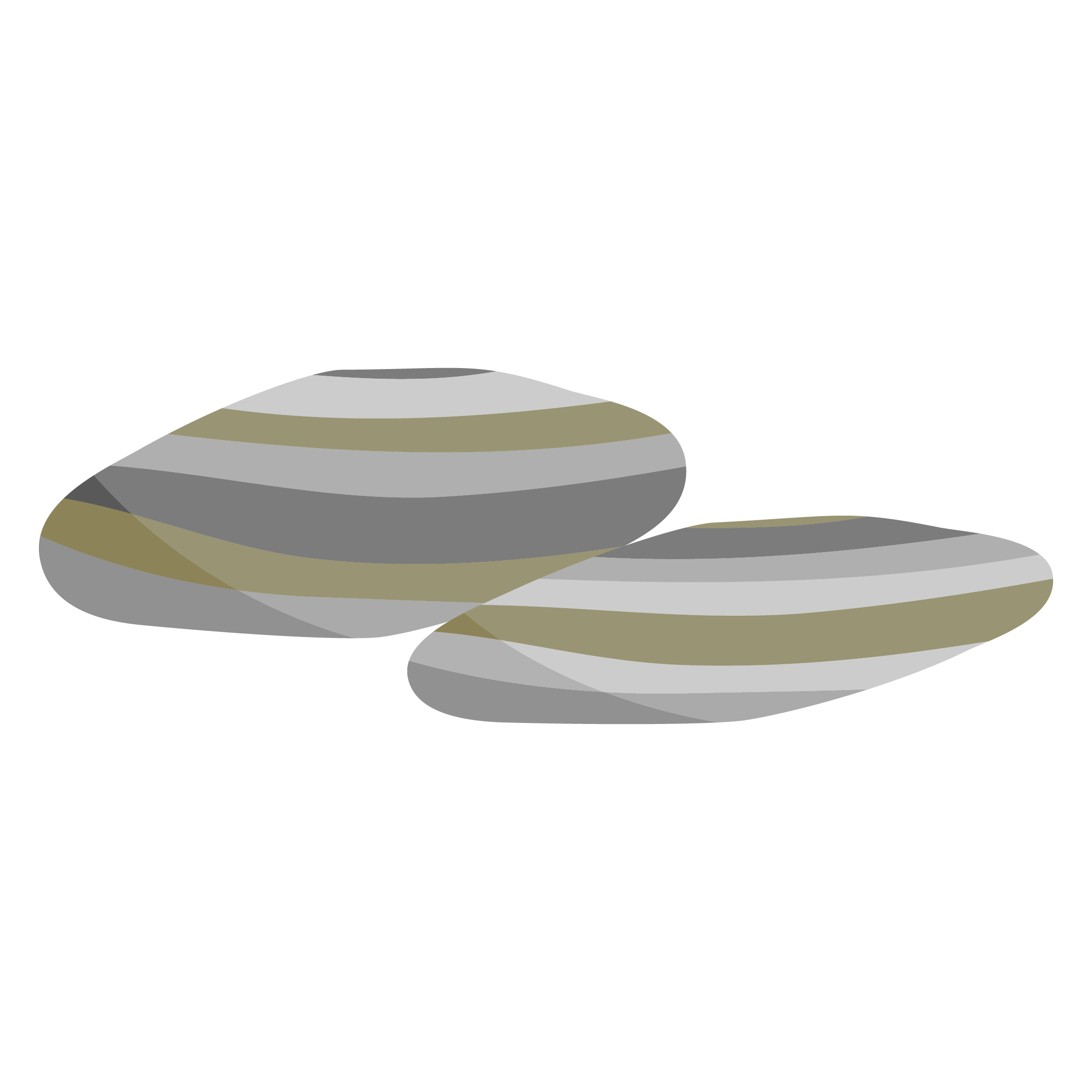illustrative image of dynamic metamorphism